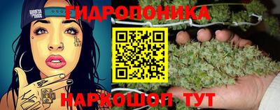 a pvp Бийск