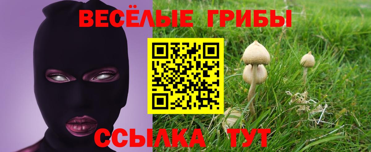 Псилоцибиновые грибы прущие грибы  Галлюциногенные грибы прущие грибы  купить наркоту  Вход с VPN  Каспийск 